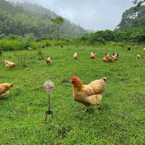 Oooct 4 Pack Chicken Peck Toy - Chicken Enrichment Toys with Swing Feeder & Slow Feeder for Hens, Ducks, Parrots