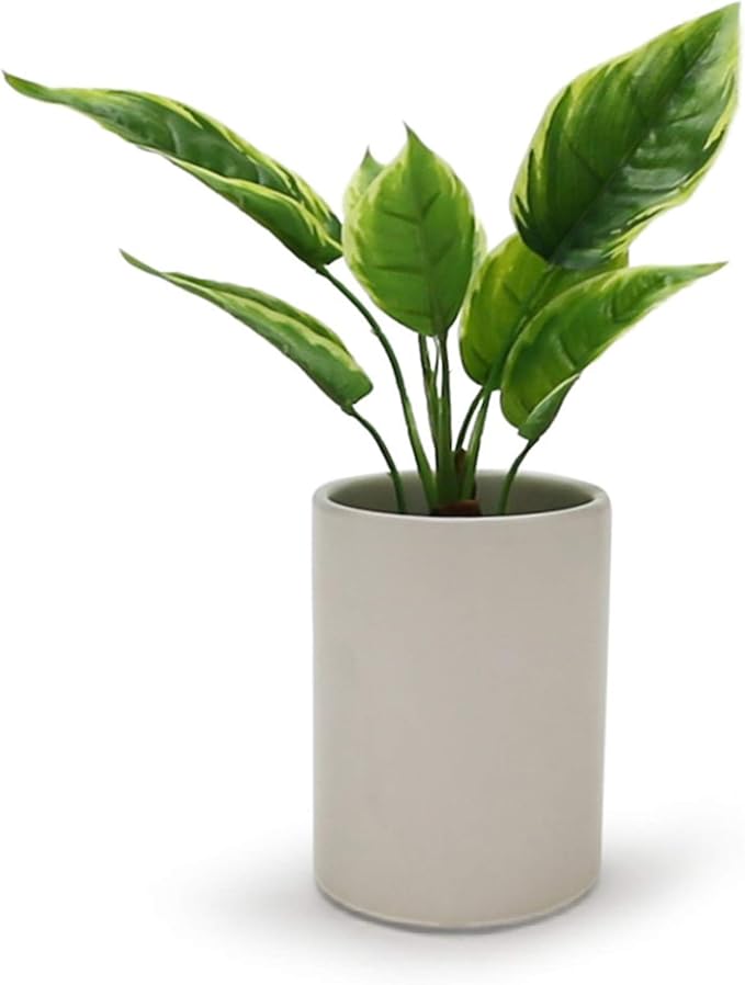 WGV Ceramic Cylinder Vase Width 4" Height 6" Elegant Unique Modern Matte Floral Container Planter Pot Centerpiece for Event Party Wedding Office Home Decor, Smooth White 1 Piece