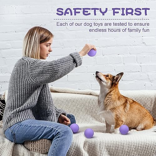 Hiboom 15 Pack Natural Rubber Dog Tennis Balls for Fetch, Purple