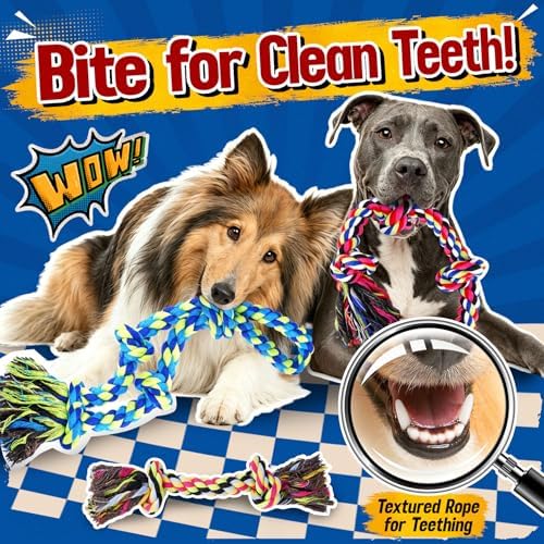 Forfon Tough & Strong Dog Toy for Aggressive Chewers – Tough Chew Toys for Large Dogs, Ideal for Tug-of-War & Teeth Cleaning, with 3 Rope Toys & 2 Dog Bags