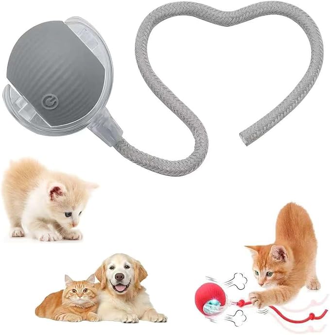 Interactive Pet Toy Ball, Automatic Dog Toy Interactive Dog Cat Toy Ball Dog & Cat Electric Active Toys, Smart Chase Pet Toy Ball for Dogs for Large Small Dogs Motion Activated，Gray