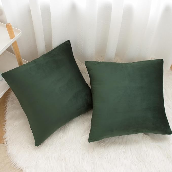 Velvet Decorative Throw Pillow Covers, Soft Square Cushion Case Home Decor for Living Room Couch Bed Sofa, Set of 2 Pack, Dark Green, 16x16 Inch