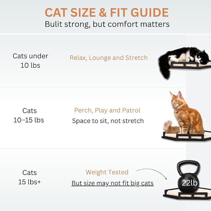 INICIO Cat Wall Shelves - Corner Shelf with 3 Cat Wall Steps - Black | Safe and Sturdy Cat Shelves for wall, Steps and Shelf for Indoor Cats up to 15lbs - Cushioned Perch for Climbing and Playing