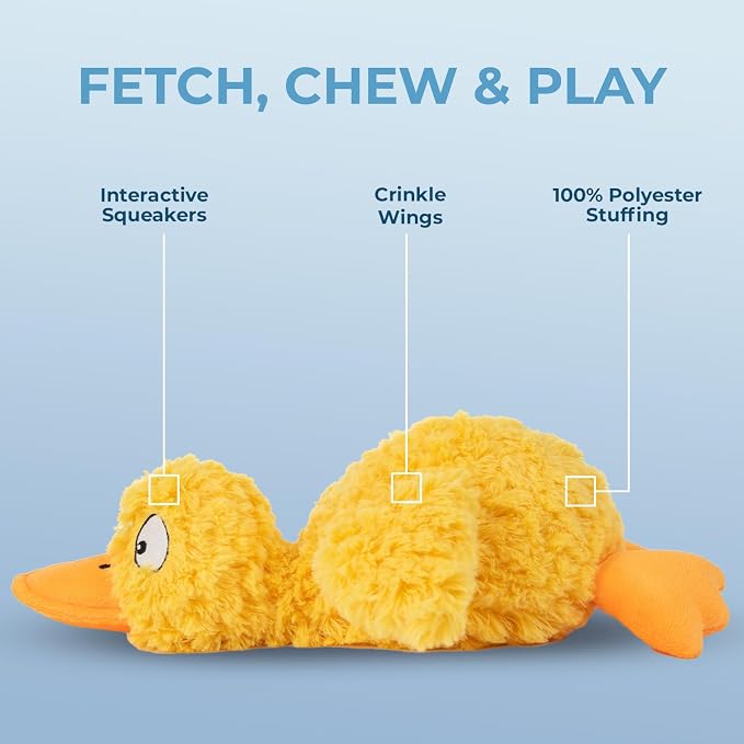 Best Pet Supplies Squeaky Plush Dog Toy - Ducky Doodle, Small | Soft Plush, Squeaks & Crinkles, Perfect for Moderate Chewers, Toss & Fetch Play, Stress & Anxiety Reliever, Ideal Gift Toy