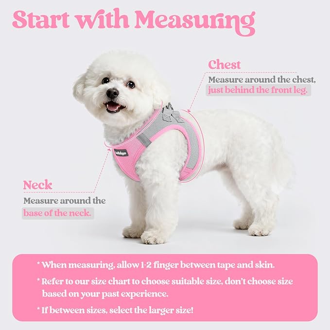 rabbitgoo Dog Harness Small Sized and Leash Set, Step-in Puppy Pet Vest | Light, Soft, Breathable Air Mesh, Easy on and Remove with Hook & Loop, Secure Reflective for Walking, Light Pink & Gray XS