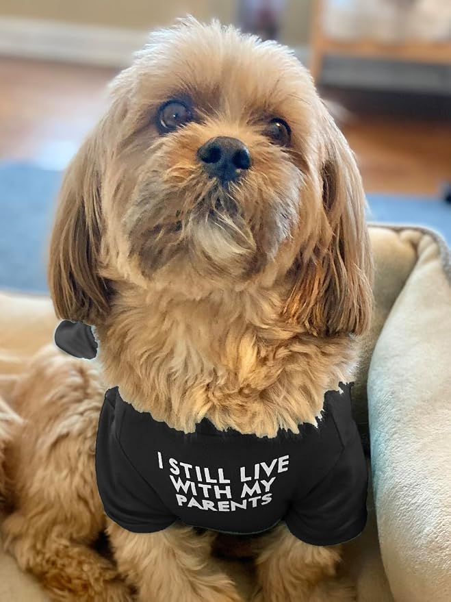 Cute Dog Clothes, T Shirt for Medium and Small Dogs Girl Boy,Puppy.Breathable Soft Dog Costume for Pet Dogs Cats, Pet Pullover Jumper, Cat Clothes XXL-(19~23lb),Chest~21.5",Black, Parents