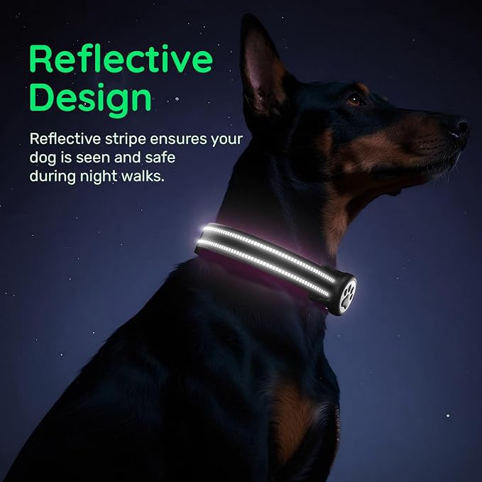 Premium Airtag Dog Collar，with IP68 Waterproof AirTag Holder,Black,M | Soft,Breathable,Nylon Padded,Reflective,Ultra-Durable Buckle,Adjustable,Comfortable for Small Medium Large Dogs