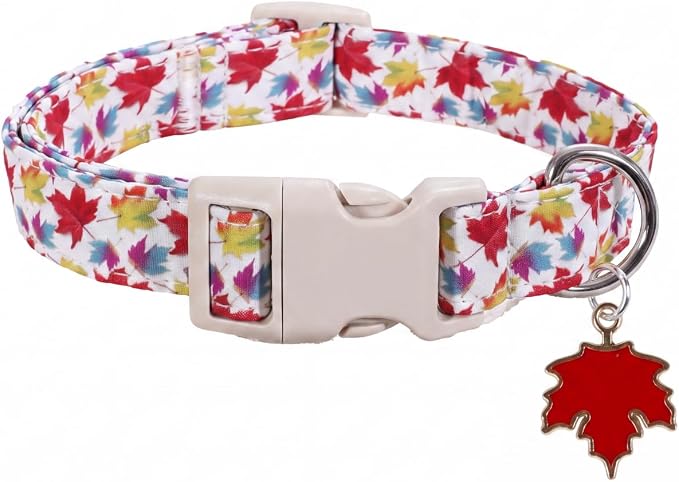 Fall Dog Collar, Dog Collar for Medium Dogs, M