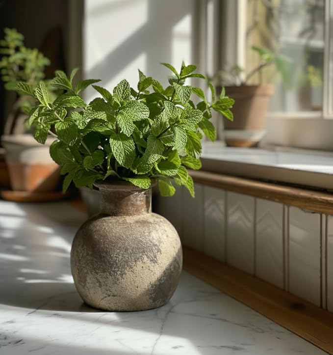 SIDUCAL Ceramic Rustic Farmhouse Vase | 6 Inch Pottery Decorative Flower for Home Decor | Boho Vase | Terracotta for Table, Living Room, Bathroom Decoration, Shelf Decor, Mantel