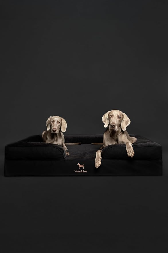 NOAH & PAW XL Dog Bed, 45x35x11 Inch, Orthopedic Large Dog Beds, Eggshell Memory Foam Infused with Cooling Gel, Inner Cover, Water Resistant, Machine Washable (Denim Sofa Collection)