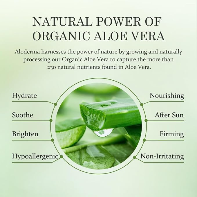 Aloderma Aloe Nourishing Body Wash 16oz - Fresh, Organic Aloe Vera Based (No Water Added) For All Skin Types + Moisturizing Shea Butter & Allantoin for Naturally Soft, Hydrated, & Nourished Skin