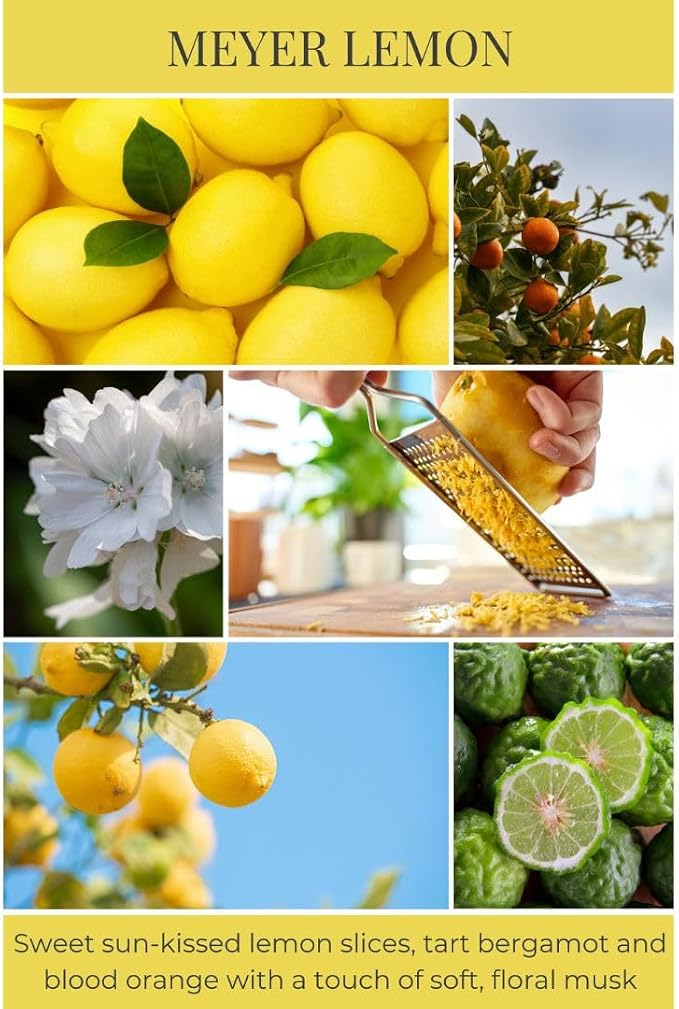 Eco Candle Co. Meyer Lemon Tea Light Candles, 10-Pack, 9 Hr Burn Time | Scents of Lemon, Bergamot, Orange - Recyclable, No Lead, Hand Poured, Midwest Soybeans, .6 oz. Each