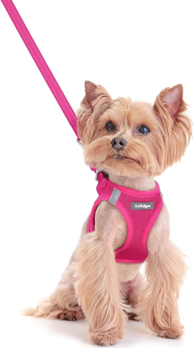 rabbitgoo Dog Harness Small Sized and Leash Set, Step-in Puppy Pet Vest | Light, Soft, Breathable Air Mesh, Easy on and Remove with Hook & Loop, Secure Reflective for Walking, Rose Red XXS