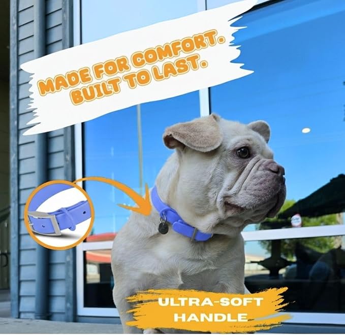 Waterproof Dog Collar, Soft Comfortable Pet Collars, Adjustable Odor Proof Heavy Duty Dog Collars Easy to Clean for Large, Medium Small Dogs Bee N Buu (Cyan Blue, Medium (length12-16, Width 3/4"))