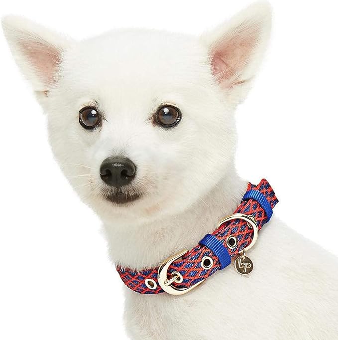 Blueberry Pet Diamond Pattern Adjustable Neoprene Padded Dog Collar with Metal Buckle - True Red, Neck 9-12.5", for Small Breed