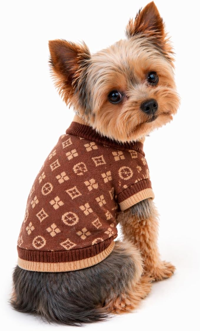 Dog Sweater for Small Dogs, Designer Dog Clothes, Luxury Chewy Pawtton Knit | Designer dog clothes for small dogs with soft knit comfort, luxury styling and easy pullover fit for Yorkies in cold weather.