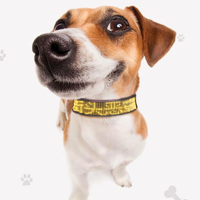Garosa LED Dog Collar, Programmable Rechargeable Safety Light with App Connected Display for Night Walks Camping Yellow Fiber 12x48 LED Screen 450mAh USB Charging Single Color