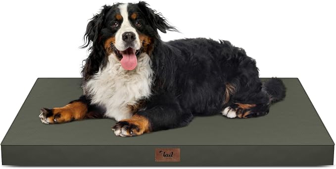 Outdoor Extra Large Dog Bed XXL for Giant Breed Dogs | Egg Crate Orthopedic Foam, Fits 48x30 Crates, TPU Waterproof Layer, Machine Washable 1680D Oxford Cover, Up to 110 lbs