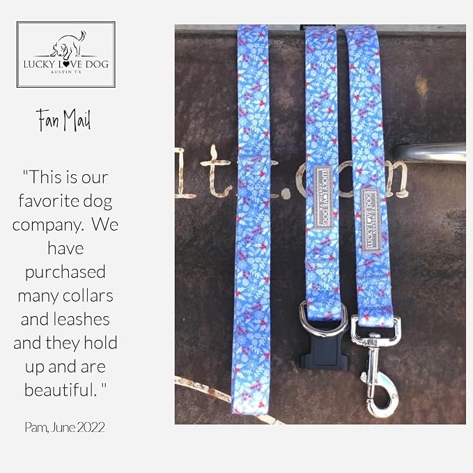 Lucky Love Dog Martingale Collar for Small Dogs Cute – Winter Blue, Small