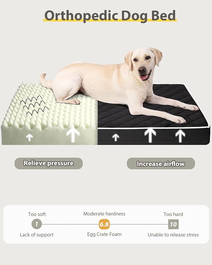 NUPIDA Orthopedic XL Dog Crate Beds Large Sized with Washable Cover, 41x27 | Egg-Crate Foam, Cozy Velvet Pet Mattress, TPU Waterproof Layer, Comfy Support, Anti-Slip Base, Big Large Breeds up to 80lbs