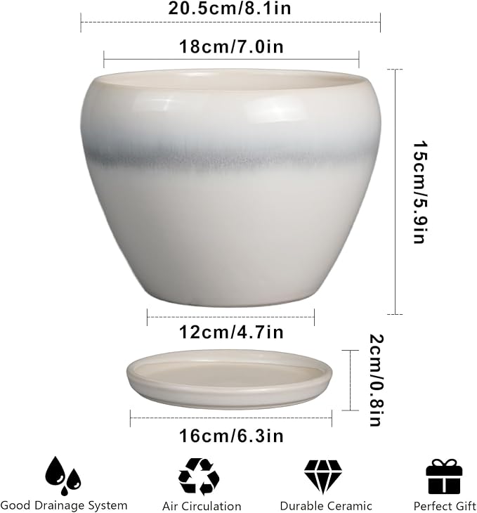 Ceramicfor Ceramic Planter - 8 Inch Plant Pot with Drainage Hole and Saucer, Glaze Round Flower Pot for Home Garden Patio Office, White
