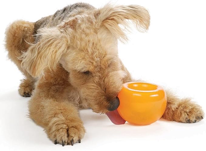Outward Hound Snoop Interactive Treat Dispensing Dog Toy, Orange, 5" | Rolls & Bounces, Treat Stuffer, Puzzle Ball & Slow Feeder, Enrichment, Mint Scented, Easy Clean, No BPA, Medium to Large Dogs