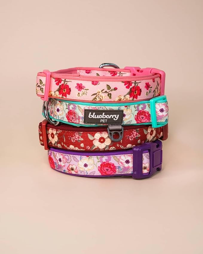 Blueberry Pet Soft & Comfy Peony Flower Print Neoprene Padded Adjustable Dog Collar, Mauve, Small, Neck 12"-16"
