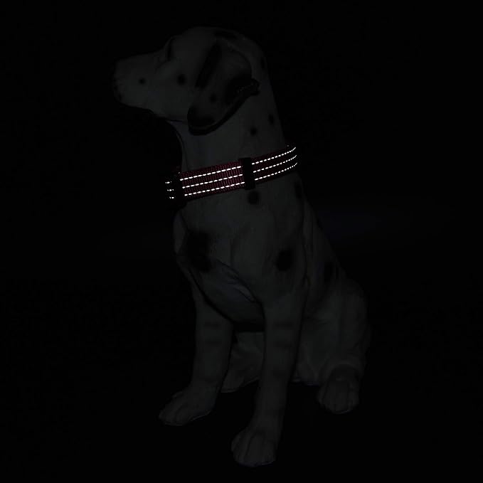 Mile High Life Reflective Dog Collar, Adjustable Lightweight Quick Release
