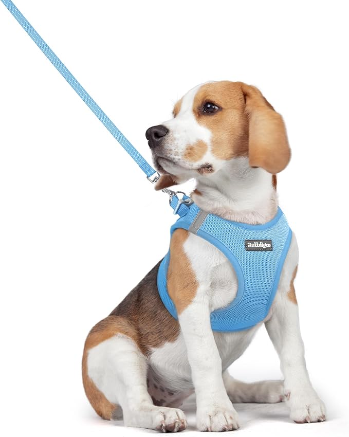 rabbitgoo Dog Harness Medium Sized and Leash Set, Step-in Puppy Pet Vest | Light, Soft, Breathable Air Mesh, Easy on and Remove with Hook & Loop, Secure Reflective for Walking, Blue L