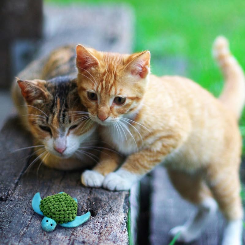 KONG Refillables Catnip Toys, Assorted 2-Pack – Plush Cat Toys with Refillable Catnip Pouch & Premium North American Catnip (Turtle 2 Pack)