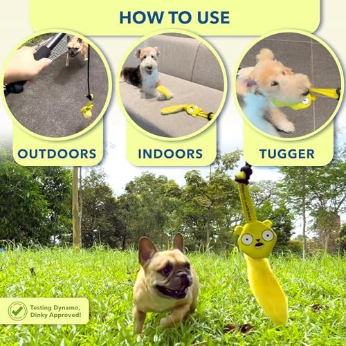 Race&Herd Cheeky Chase Flirt Pole for Dogs Heavy Duty - Catch Rod for Pet Fishing Toy, Tug of War Dog Toy for Aggressive Chewers, Dog Rope Toys for Medium Dogs