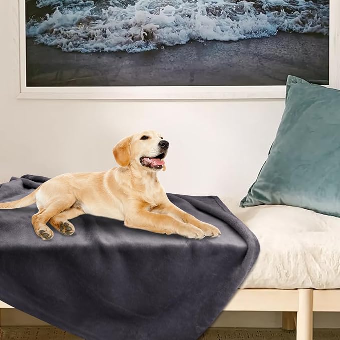 Onarway Dog Blanket Washable for Puppy: 4 Packs Dog Blankets 40”x28” | Fluffy Soft Small Throw for Cat Puppy Kitten Dogs - Fleece Pet Blankets for Bed Sofa Car and Indoor - Lake Green and Purple