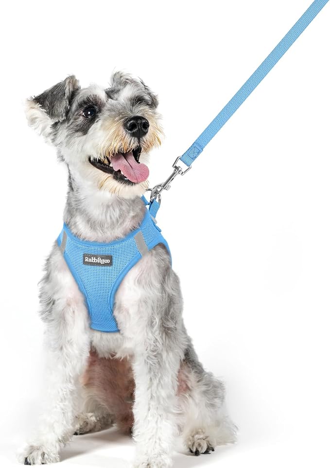 rabbitgoo Dog Harness Medium Sized and Leash Set, Step-in Puppy Pet Vest | Light, Soft, Breathable Air Mesh, Easy on and Remove with Hook & Loop, Secure Reflective for Walking, Blue XL