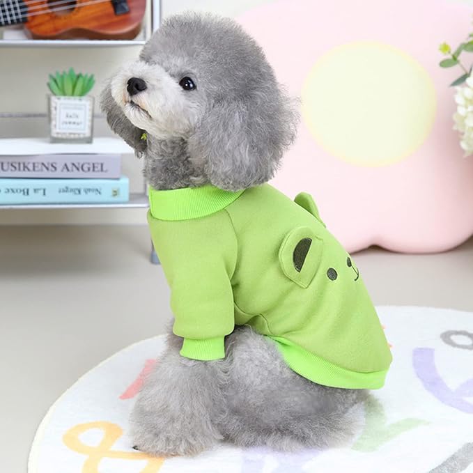 Light Green Cute Dog Sweater Soft Winter Clothes for Small Dogs, XS | Classic Green Knit Pullover, Fall Winter Outfit, Elastic Cuffs, Holiday Party Matching, Machine Washable Sweatshirt for Pets