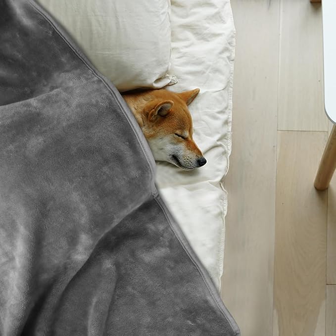 Onarway Dog Blanket Washable for Puppy: 4 Packs Dog Blankets 40”x28” | Fluffy Soft Small Throw for Cat Puppy Kitten Dogs - Fleece Pet Blankets for Bed Sofa Car and Indoor - Light Grey