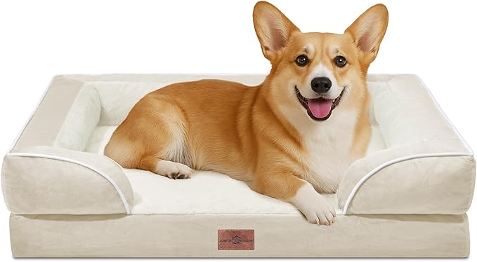 Comfort Expression Waterproof Orthopedic Dog Beds for Large Sized Dog | Supportive Egg Crate Foam Large Pet Bed with Removable Bolster, Dog Couch with Washable Cover & Non-Slip Bottom, 35x22 Inch