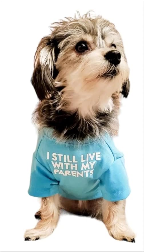 Cute Dog Clothes, T Shirt for Medium and Small Dogs Girl Boy,Puppy.Breathable Soft Dog Costume for Pet Dogs Cats, Pet Pullover Jumper, Cat Clothes (XXL-(19~23lb), Chest~21.5", Aqua)