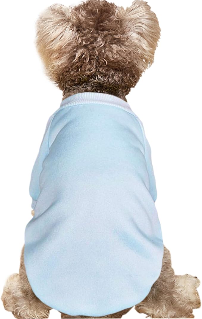 Puppy Sweater for Small Dogs Winter Pullover, Light Blue S | Elastic Cuffs Pet Clothes, Holiday Party Matching, Fall Winter Daily Outfit, Soft Breathable Machine Washable Sweatshirt