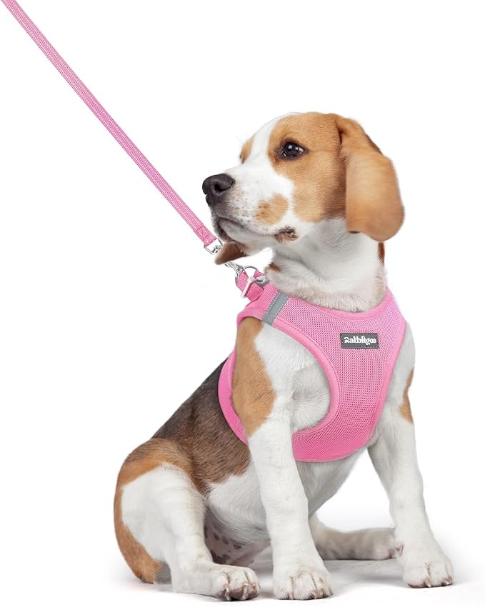 rabbitgoo Dog Harness Medium Sized and Leash Set, Step-in Puppy Pet Vest | Light, Soft, Breathable Air Mesh, Easy on and Remove with Hook & Loop, Secure Reflective for Walking, Light Pink L