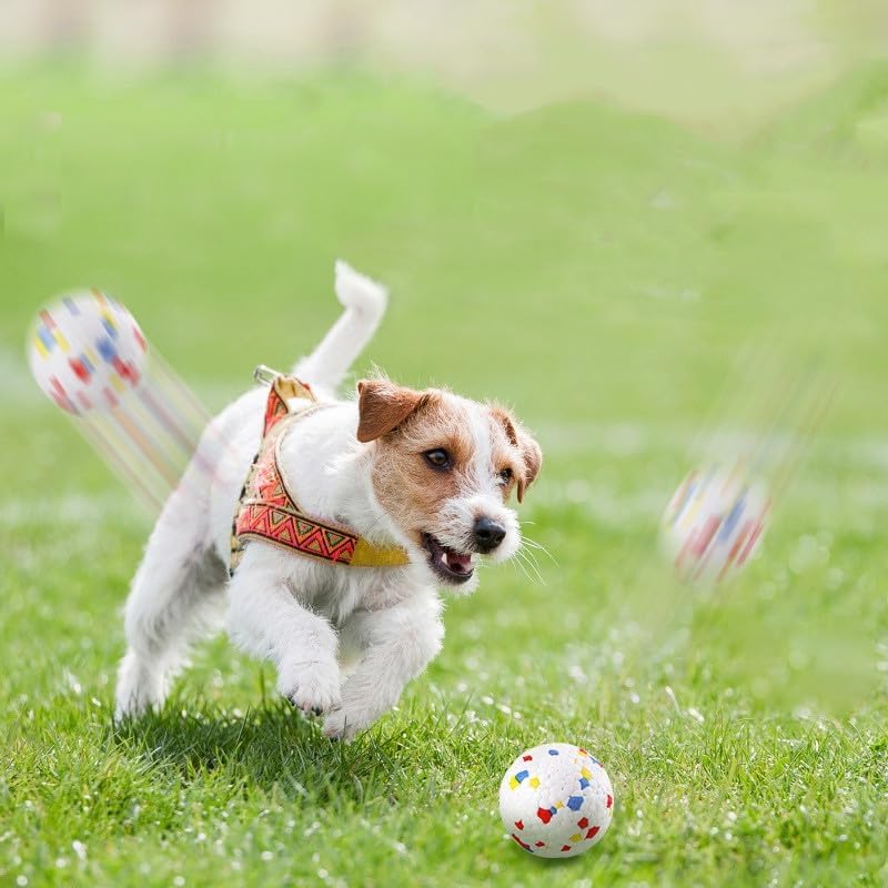 Dog Balls for Dogs:6 Pack 2.3 Inch Balls Compatible with Most Automatic Ball Launchers, for Puppy Dogs Medium Dogs Playing Exercise and Practice