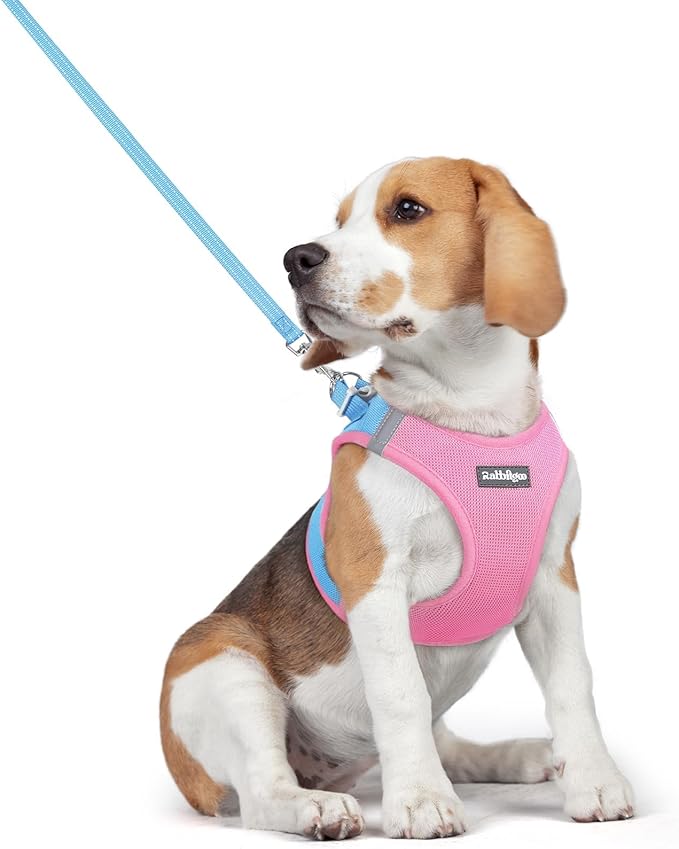 rabbitgoo Dog Harness Medium Sized and Leash Set, Step-in Puppy Pet Vest | Light, Soft, Breathable Air Mesh, Easy on and Remove with Hook & Loop, Secure Reflective for Walking, Blue & Light Pink L