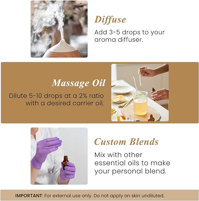 Handcraft Blends Bright & Balanced Set: Frankincense and Orange Essential Oils – (2 x 4 Fl Oz) – 100% Pure & Natural – for Diffuser, Aromatherapy, and DIY Projects