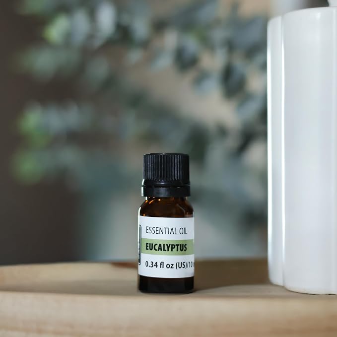 Eucalyptus Essential Oil – Fresh Camphoraceous Aroma Oil for Diffusers, Aromatherapy & Home Fragrance – Crisp Eucalyptus Scent – 0.34 fl oz (10 ml)