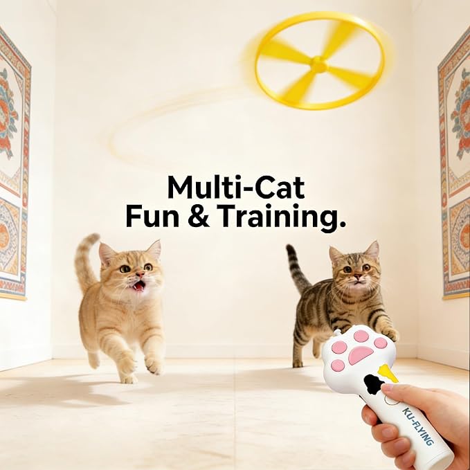 20Pcs Cat Toy Flying Discs, Interactive Cat Fetch Toy for Indoor Cats, Chasing Hunting Training Toys for Kittens & Adult Cats（20Pcs）
