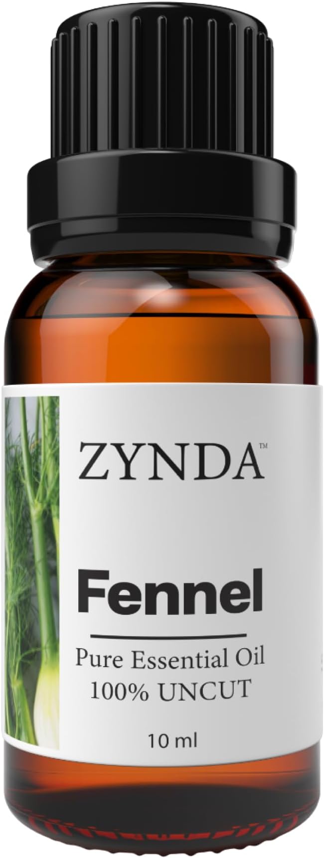 Fennel Essential Oil – 100% Pure & Natural | Uncut Raw Very Potent & Lab-Tested | Premium Fennel Oil for Diffuser & Skin | Sweet Herbal Aroma | Crafted in USA | Therapeutic-Grade Essential Oils