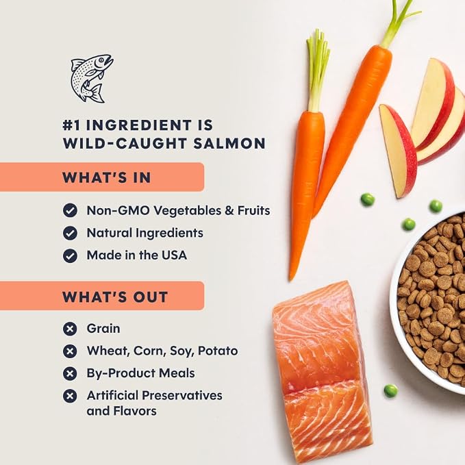 Instinct Original Dry Cat Food, Raw Coated Kibble, Real Salmon, 10 lb. Bag | Raw-coated kibble with wild-caught salmon for strong muscles, digestive health, and healthy skin & coat, grain-free