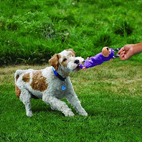 KONG - Tugger Knots Moose - Tug of War Dog Toy, Minimal Stuffing and Looped Ropes for added Strength - For Medium/Large Dogs
