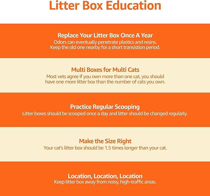 Amazon Basics Large Cat Litter Box with High Sides, Top Entry, Odor Control, Includes Scoop, 20.5 x 14.75 x 14.38 inches, Grey