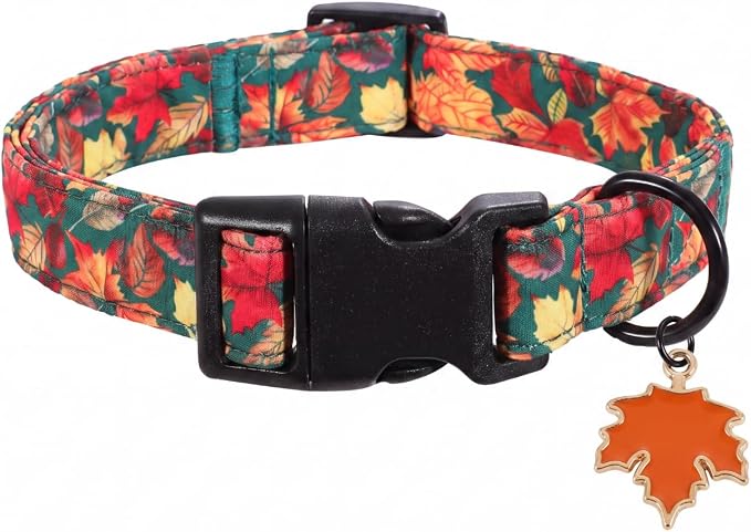 Fall Dog Collar, Puppy Collar for Small Dogs, S