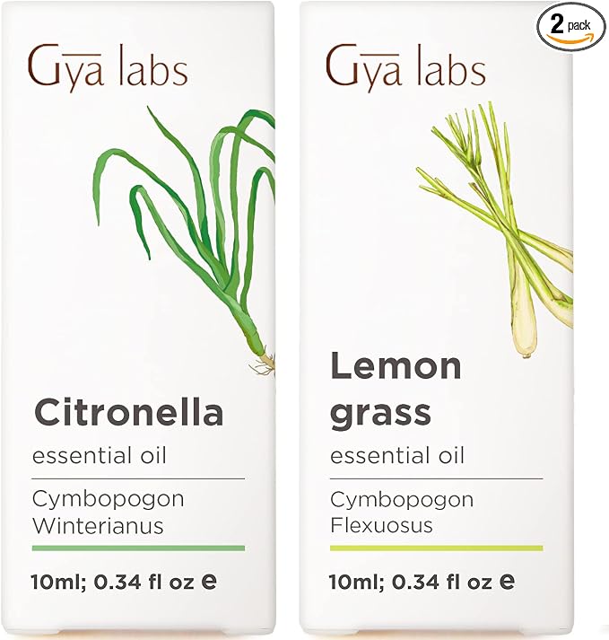 Gya Labs Citronella Essential Oil for Diffuser – 0.34 Fl Oz – Premium Grade Essential Oils for Diffuser, Aromatherapy, Hair Care, Skin Care, Body, Massage & DIY Candle Making Scents